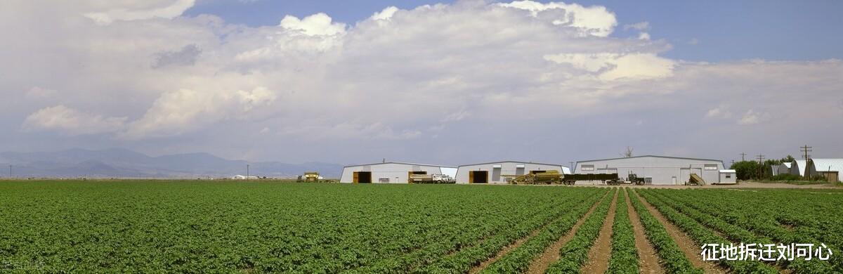 征地拆迁刘可心|耕地上的房子就是违建拆掉没补偿吗？这种情况不会