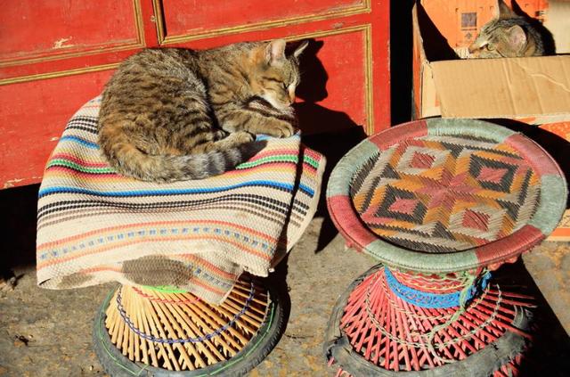 江孜|中国最美县城:是通往印度不丹的必经之地,毯子能卖到十几万!