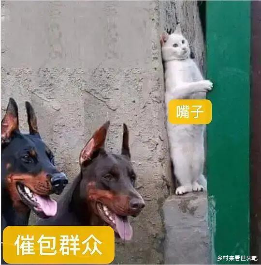 爱马仕|晚晚硬凹富婆人设又遭打脸了？背共享爱马仕，就连晒的豪宅也是…