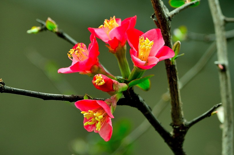 生肖▲7月份期间，姻缘飞升，情意美满，桃花降临真爱来的四大生肖