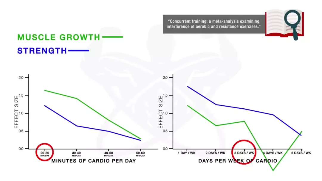 『有氧运动』怎么做有氧不掉肌肉？