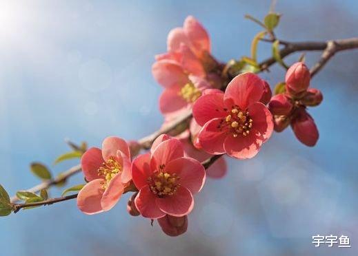 李天佑|进入9月中旬，吉人天佑，4属相八方来财，生活越来越幸福