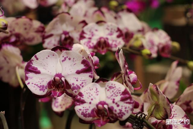 生肖|在9月份，牵手挚爱，不忘初心，一爱到底的三大星座