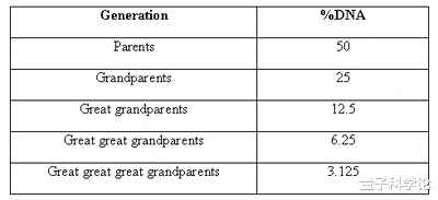 基因|孙子有多少基因来自爷爷?2000年前祖先的基因还在你身体吗?