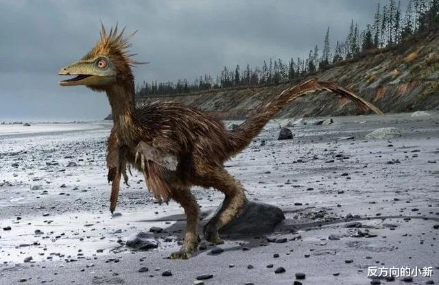 「恐龙」恐龙其实已经富有智慧了?如果没有天灾,它们将继续统治地球