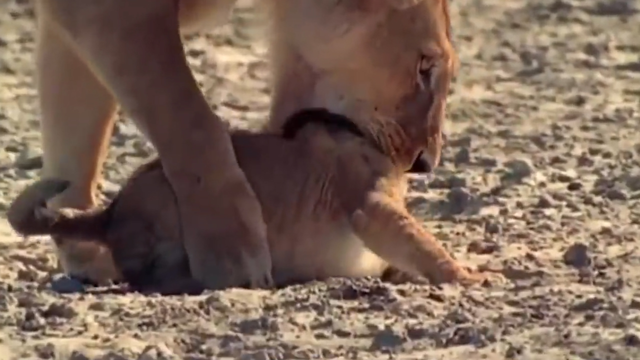 「」5月有显财运见，6月横财66顺，属这几大生肖的人，守住正财保鸿头