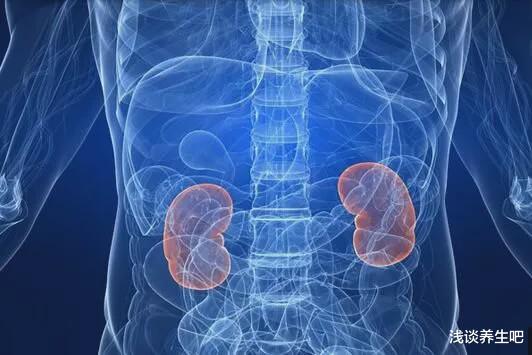 「饮食」肾不好的人,早起后有四种表现,占上一个,三件事要尽早戒掉!