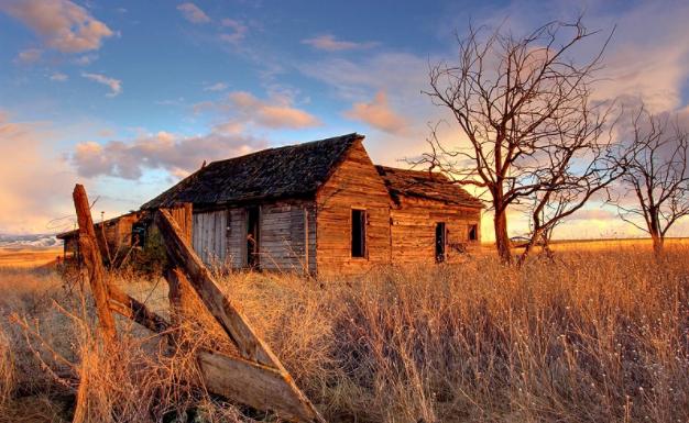 生肖|9月底，情深意浓，桃花压满枝，3生肖再续前缘，顺利牵手旧情人