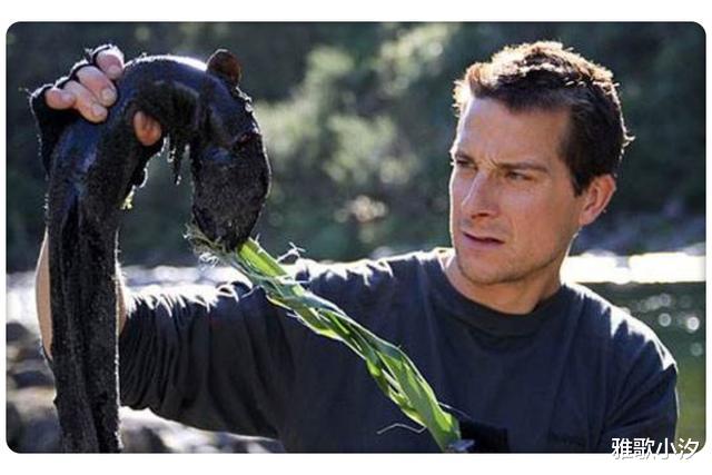 「食材」让老外惊讶的是，这东西根本“不是食物”，中国人却化腐朽为神奇