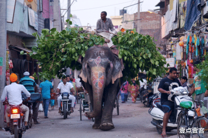 印度|印度边境部队撑不下去了?3000名士兵突然倒下,中:我们还没出手!