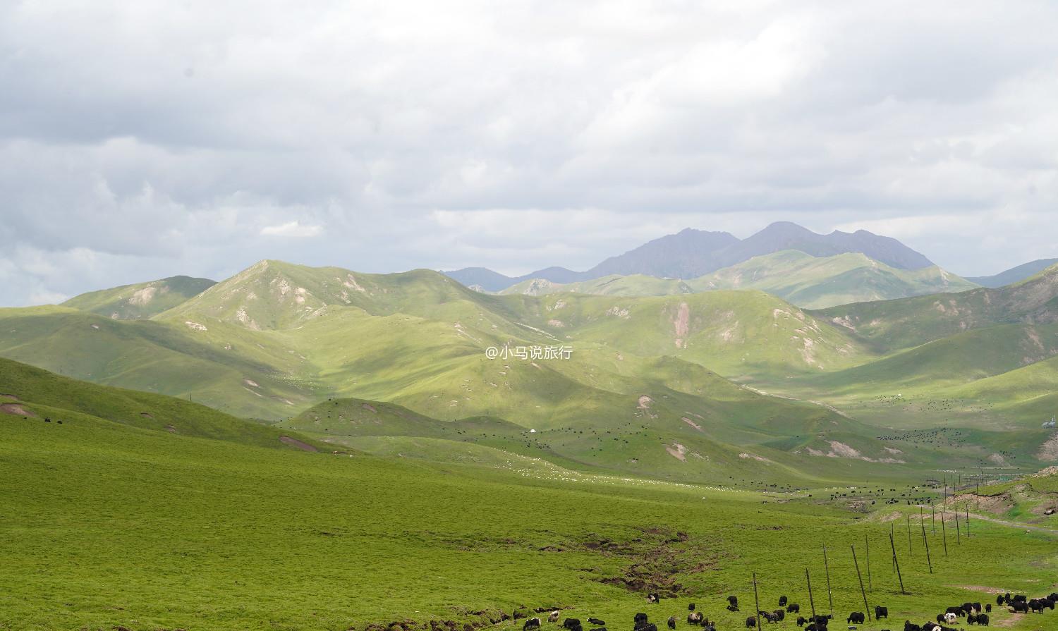 旅行|中国最值得暑假去的旅行线路，几乎覆盖西北所有景色，后悔去晚了