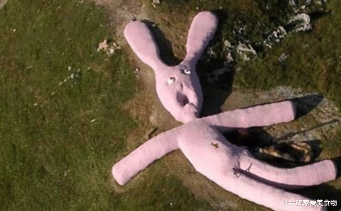 [兔子]还记得那只被卫星拍到的巨型兔子吗？如今它已经走到了生命的终点