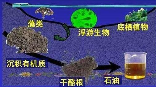 石油|中国“人造石油”取得重大突破？多国寻求合作，美震惊：这不可能