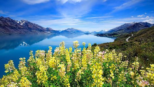 [生肖]10号到月底财神独宠，横财大爆发，事业飞黄腾达，添丁添财的生肖