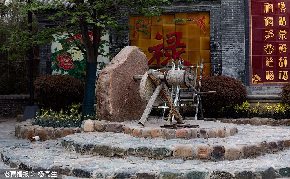 乡村旅游|重要通知！涉及洛龙、伊滨、偃师、孟津、新安、栾川