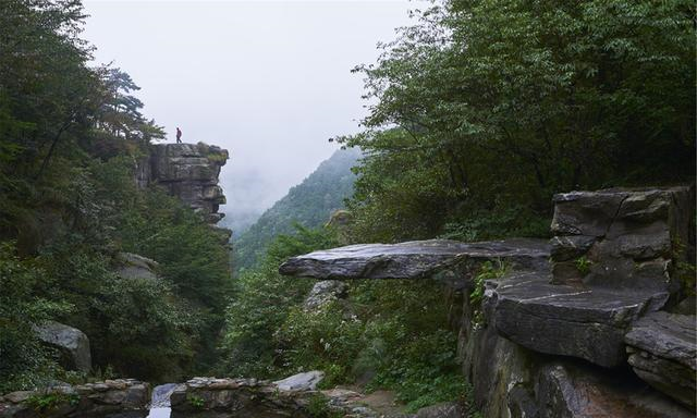 「庐山」这座山是中华十大名山之一，山上就有一座小镇，上万人生活其中