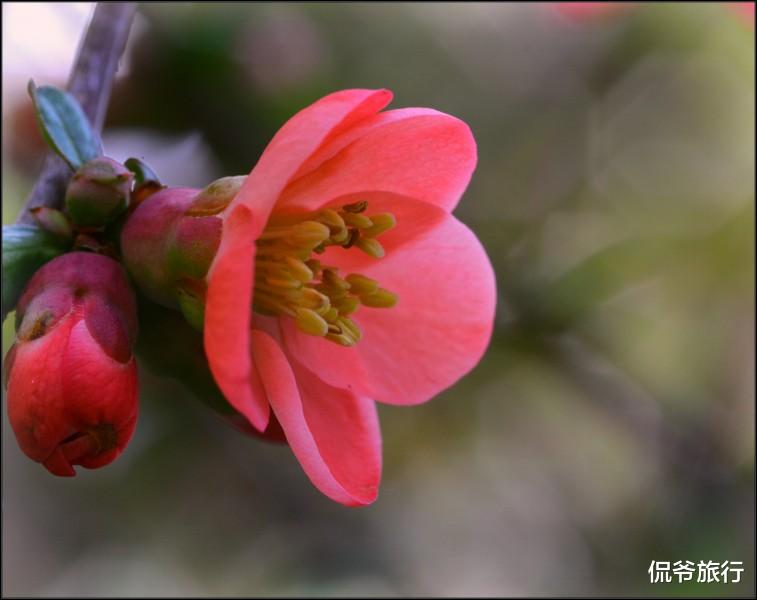 「运势」6月17号，运势顺畅，3生肖得到老天眷顾，偏财滚滚来