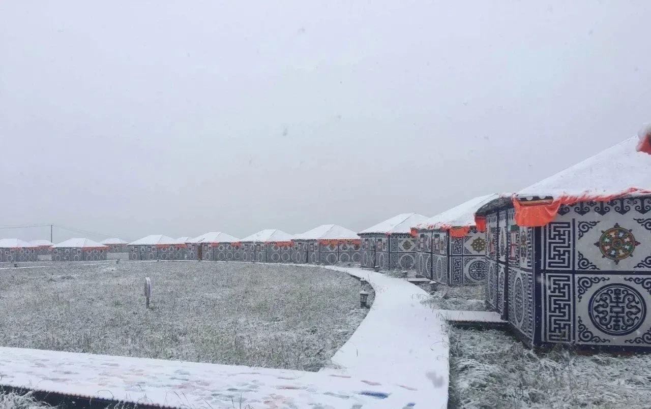 甘肃|罕见！甘肃8月份下雪了