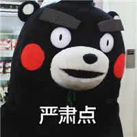 程序员|一个普通人如何成为程序员