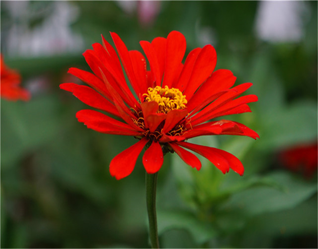 巨蟹座|9月,大吉大利大福气,3个星座咸鱼翻身,接捧好运气!