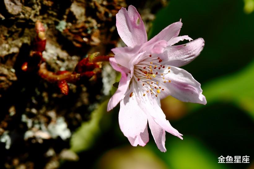 生肖:4大生肖6月28号注定享福,厄运远离,日子红火,“财神爷登门”快来接