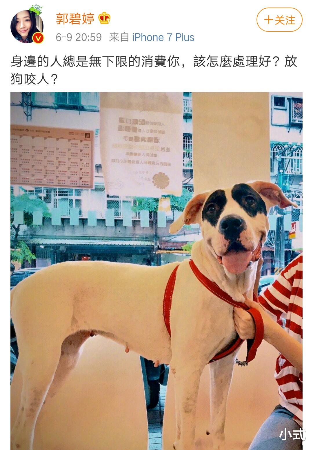 郭碧婷|郭碧婷深夜发文表示委屈，婆婆霸气回应，放萧敬腾的狗咬人