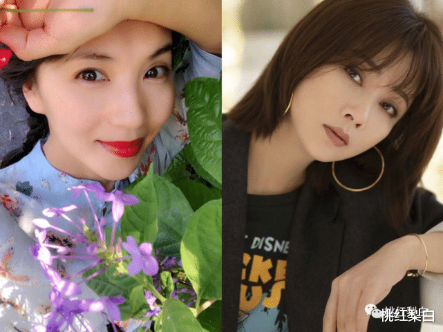 陈好|“万人迷”有多美，《粉红女郎》就有多火！