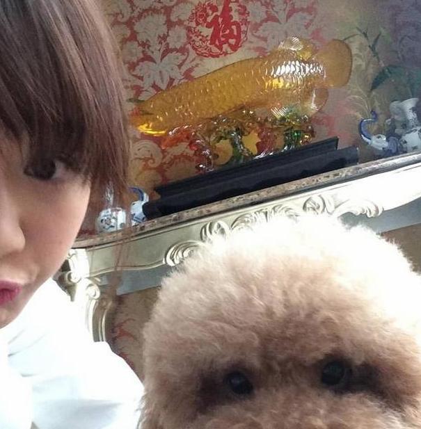 @晒晒杨紫现实中的家，墙壁贴着“福”字墙纸，装修有点太土了吧？