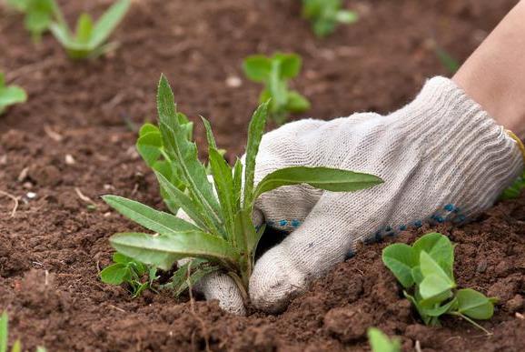 「肺癌」每年千万人确诊癌症,45岁以后,三个部位易中招,早发症状要知道
