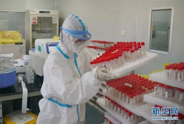 中国搜索 石家庄深夜通告!