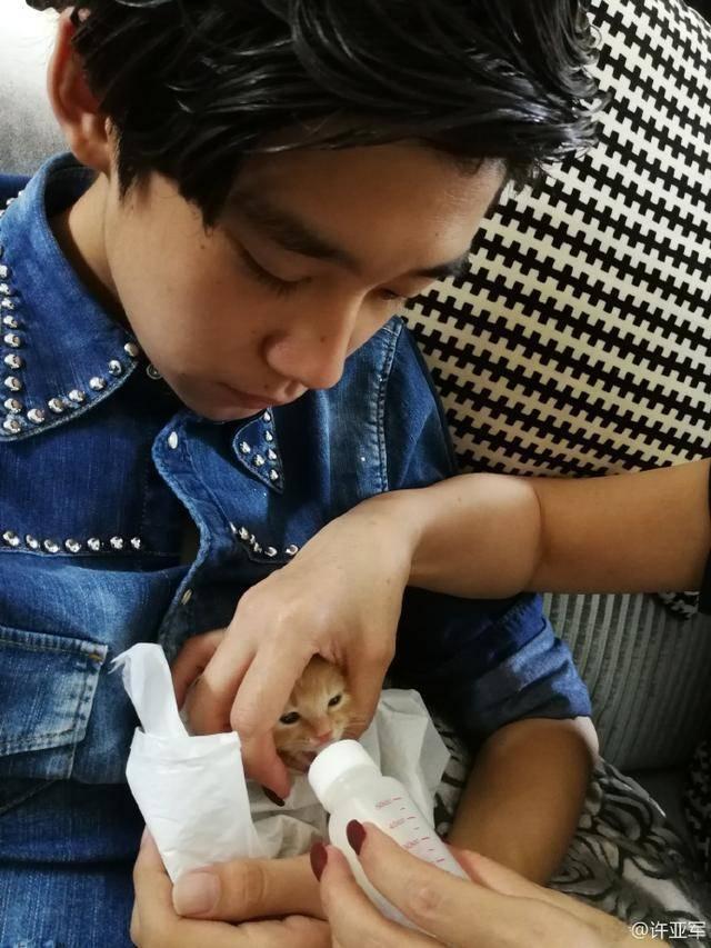 【许亚军】许亚军和何晴的儿子男大十八变,比童年帅气,但被吐槽像东南亚人