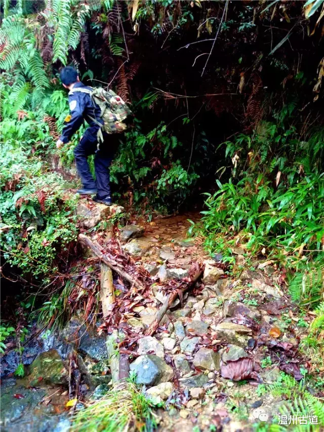 温州@温州铁坑古道，一条横亘于永嘉青田深峡的水瀑古道