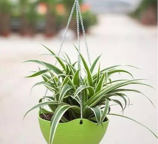 这些物品是甲醛重灾区，环保专家提示：少往家里带！