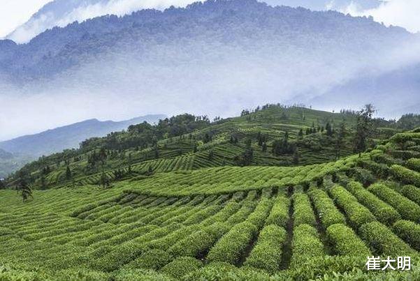 狮子座|7月13号开始,4属相时来运转,生活滋润,横财不断,喜福进家