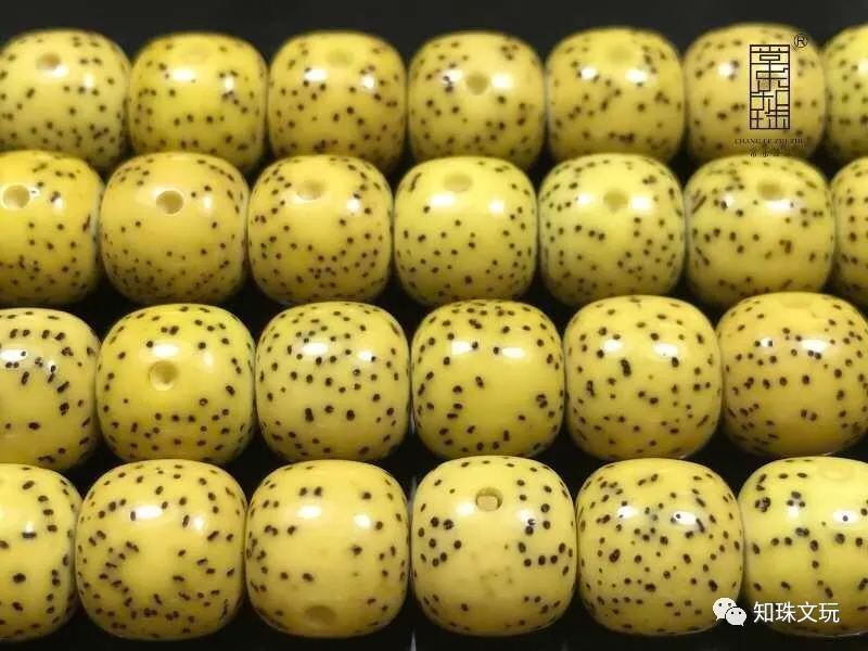 「星月菩提」都是星月菩提，为什么我的80元他的1000元？