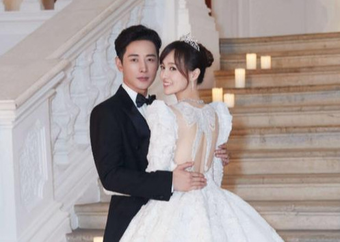 苗圃|当红时狠心\抛弃\罗晋，嫁大19岁富豪得一架飞机，如今她怎样了？