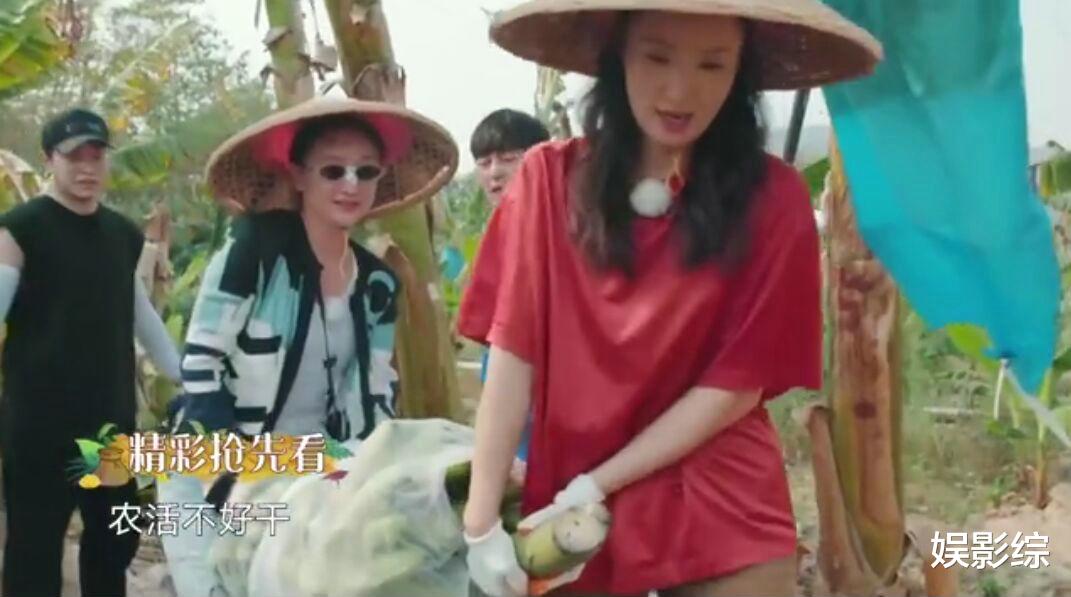 陶虹■陶虹现身《向往的生活》， 听到她对张子枫的称呼，就知有多宠爱她