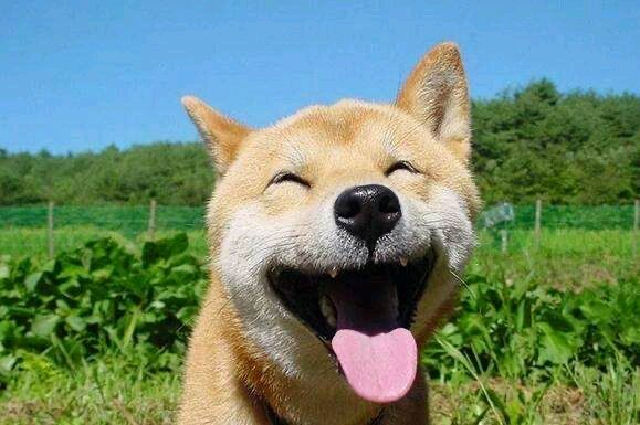 『华为荣耀』联发科5G处理器！90Hz高刷新！荣耀30 Lite近期发布！