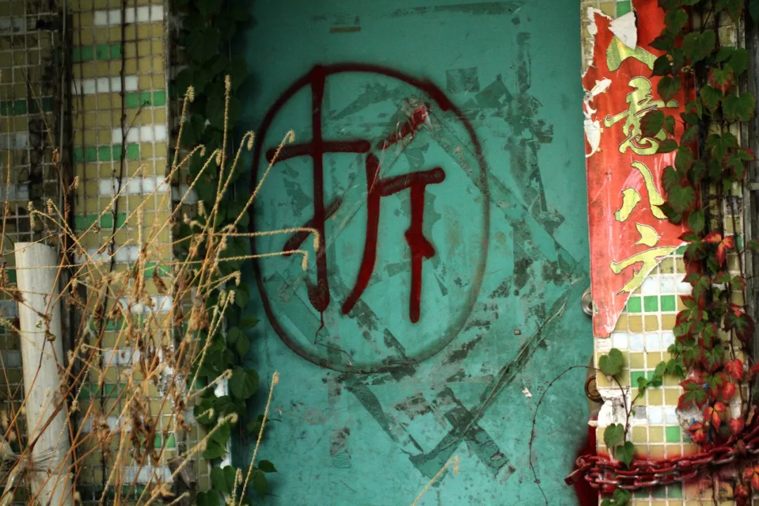 当精神穿越痛苦‖2019记忆碎片