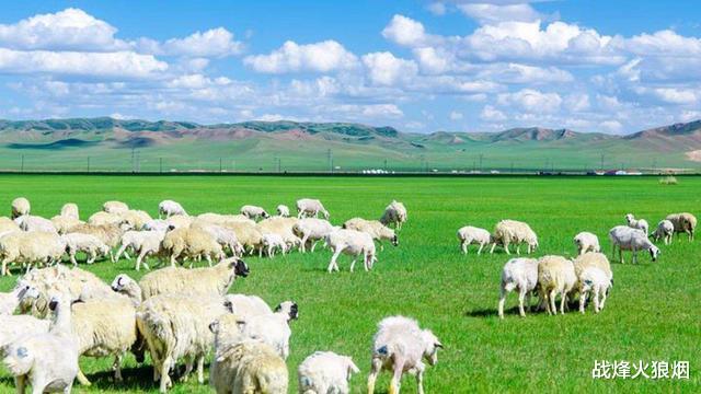 3萬隻羊要來瞭，蒙古正式宣佈移交時間，同時也對我國提出一要求-圖2