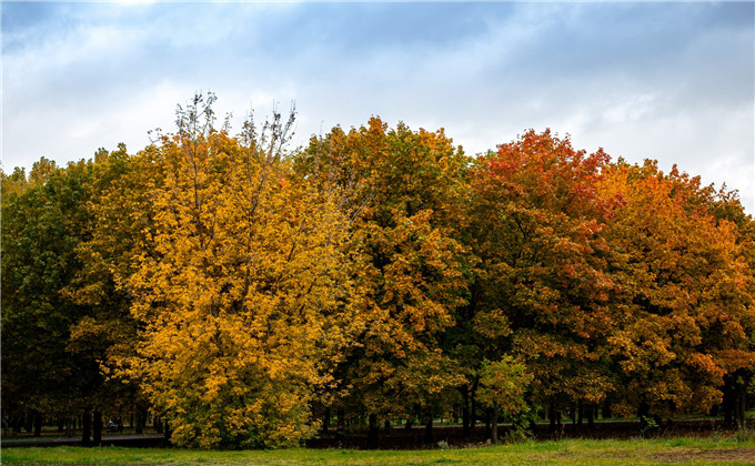 『』往事如梦，真情难忘，3星座情坎坎情路，旧情亦终将圆满！