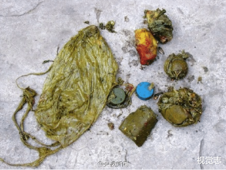 西藏|十一你发的朋友圈，我不想点赞