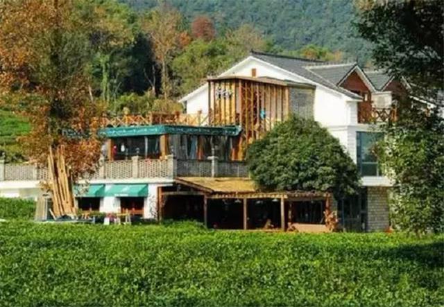 「」70后大叔用6年时间,建造400㎡院子,为追求原始房顶铺茅草