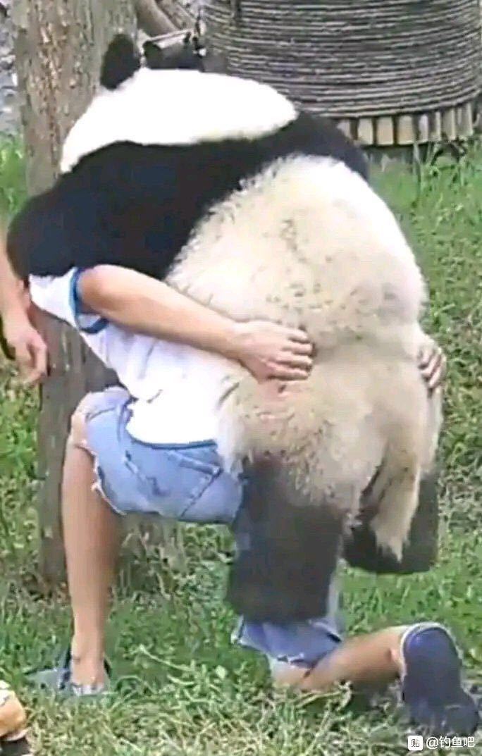 「」贴吧钓鱼佬,一群除了鱼,啥都能吊到的家伙