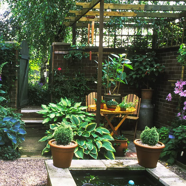 一楼带院子是福，还是祸？！