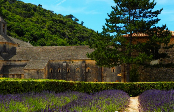 属牛|十月下旬开始,喜气临门,财运如虎添翼,财富不请自来的生肖