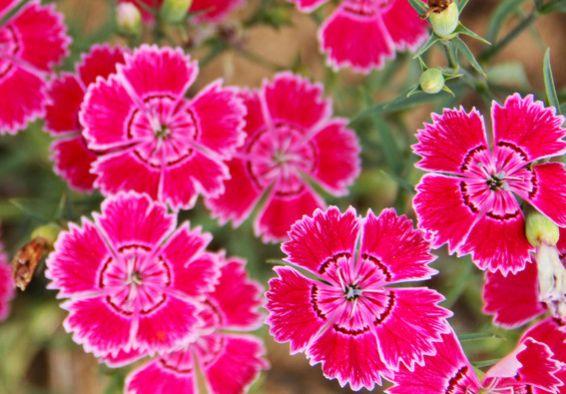 属马|8月中旬开始，4属相好运不断，惊喜接二连三，事业顺利，生活美好