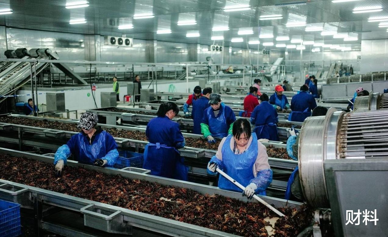 女工|“一女难求”工厂面临“女工荒”，那些女工都去哪了？答案很现实