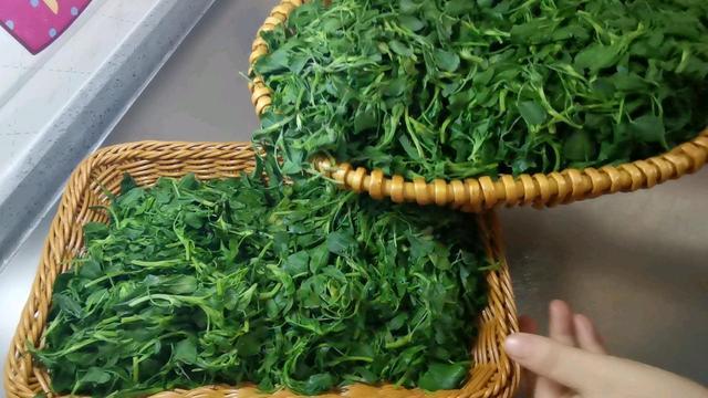 长寿|这种菜外国人叫它“长寿菜”,钙含量比牛奶还高,很多人都扔了