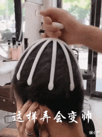 隔离|“如果没有生殖隔离,地球会变成什么样?”评论真敢想啊,哈哈哈